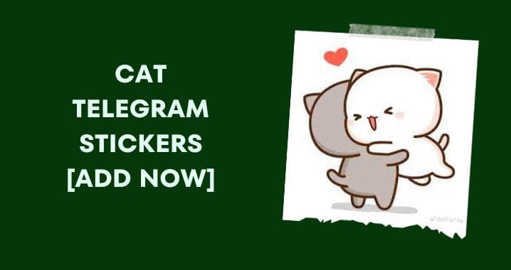 30+ Best Cat Telegram Stickers Package List (Sept 2023)