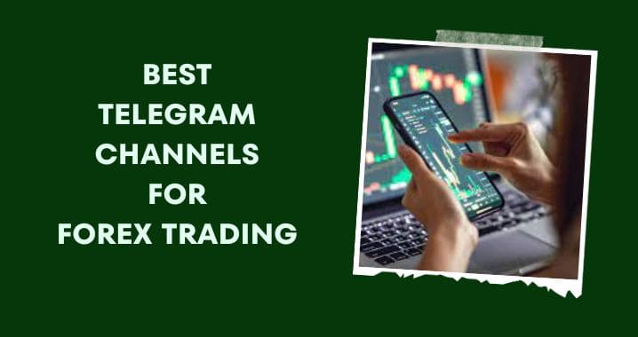 99+ Best Forex Trading Telegram Channel & Group Link