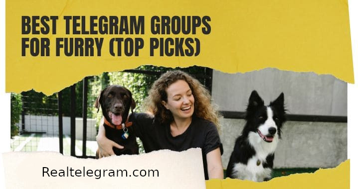 99+ Best Furry Telegram Groups & Channel Link (Sept 2023)