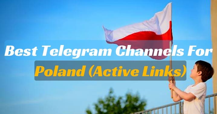 55+ Best Poland Telegram Channel & Group Link (Sep 2023)
