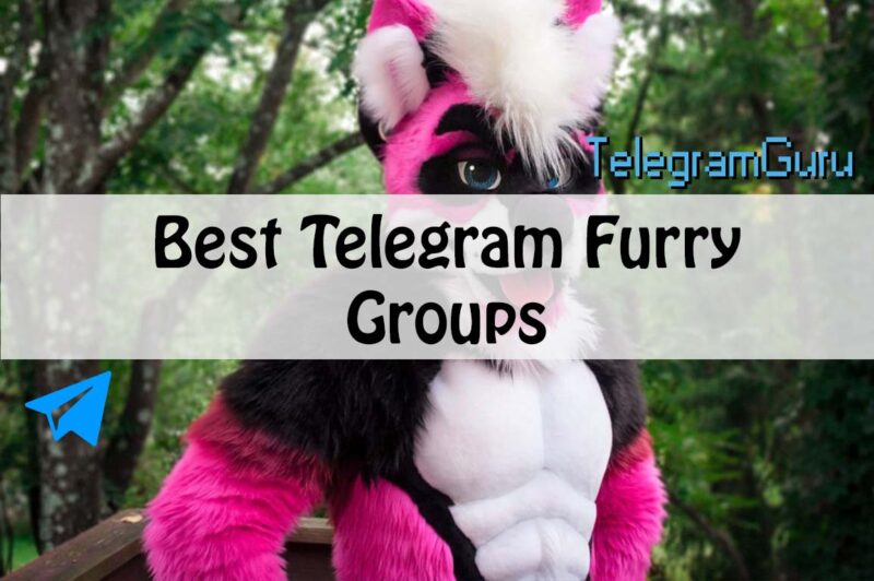 Best Telegram Furry Groups to Join In 2022