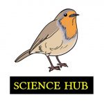 Science Hub - Real Telegram