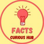 Facts – Curious Hub - Real Telegram