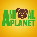 Animal planet - Real Telegram