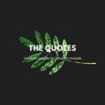 The Quotes - Real Telegram