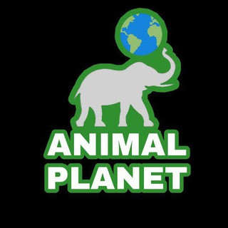 Animal Planet - Real Telegram
