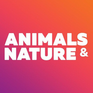 Animals & Nature - beautiful wallpapers - Real Telegram