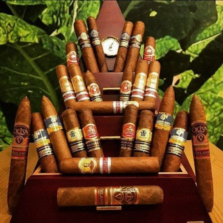 Cohiba Cigar Silk ( EUROPA ) - Real Telegram