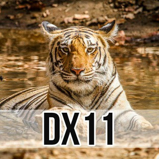 DX11 Likes Only - IG Boosting - Real Telegram