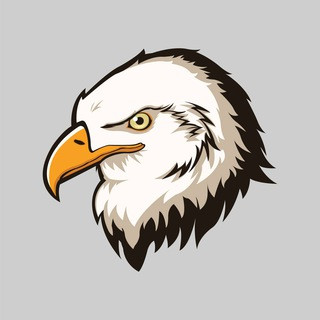 Eagle post views - Real Telegram