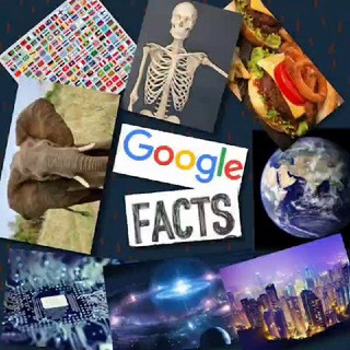 Google Facts - Real Telegram