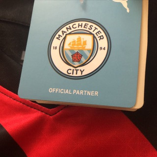 Manchester City FC image