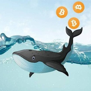 MrWhale Crypto image