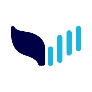 Whale Tracker Chat - Real Telegram