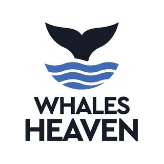 WhalesHeaven.com - Peer to peer custody-free marketplace - Real Telegram