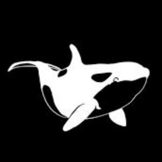 Whales Signals - Real Telegram